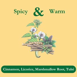 Tadin Organic Throat Wellness Tea, Caffeine Free Herbal Tea for Throat Relief, 20 Tea Bags Per Box, Pack of 6