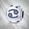 Pandach 12 Zodiac Sign Birthday Charms 925 Sterling Silver Birthstone