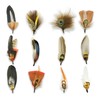 12PCS Hat Feathers, Peacock Feather for Fedora Hats, Pheasant Feathers