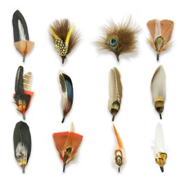12PCS Hat Feathers, Peacock Feather for Fedora Hats, Pheasant Feathers Accessories Cowboy Hat Feather for Hats Decorations(12 Style)