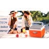 Pinnacle 4.5-11 Liter Insulated Cooler Lunch Box Set Portable Camping/Picnic