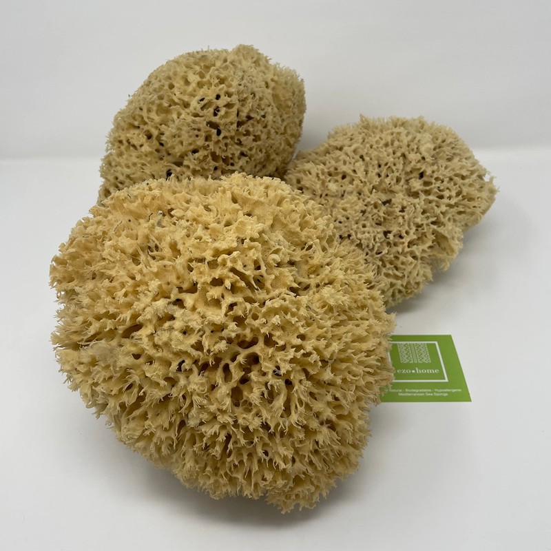 XXL Sea Sponge Very Large 20cm Unbleached Honeycomb Natural Seasponge