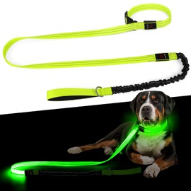 Luminous Dog Collar and Lead Type C Charging, 500m Visibility and Stretchy Band for Night Walking