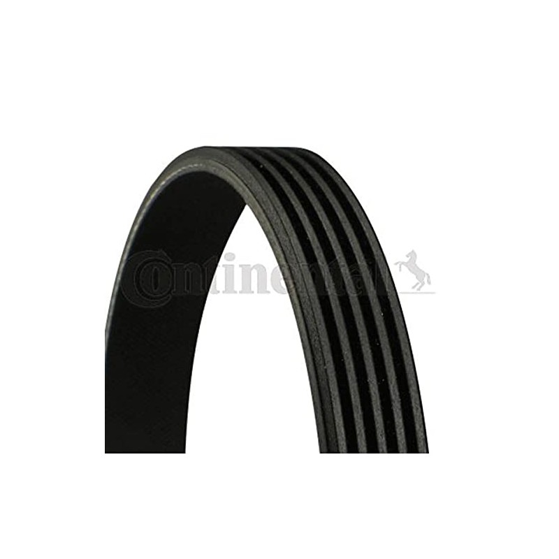 CONTITECH 5PK1255 V-Ribbed Belt