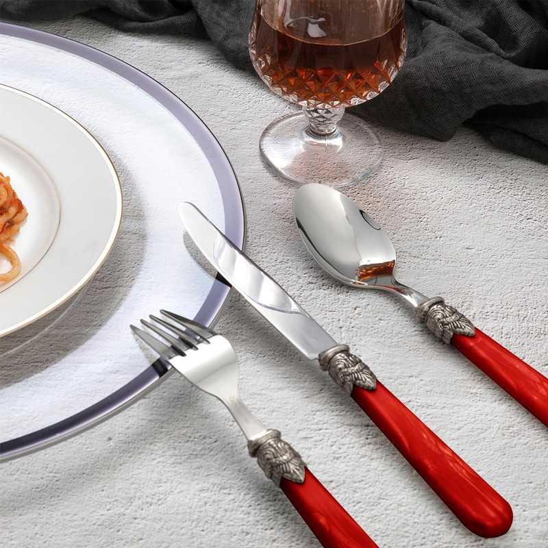 CATHYLIN 20 pieces 18/10 Stainless Steel Silverware Sets With Red