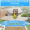 iMounTEK Smart Bird Feeder with 4MP HD Camera AI Recognition