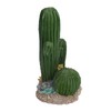Simulation Resin Cactus Ornament Stable Aquarium Cactus Decoration with Succulents