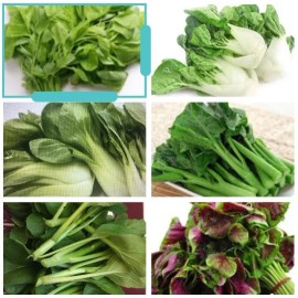 Pan-Asia Heirloom 8-gram 5000+ Asian Summer Greens Seeds mix: Gai Lan, Yu Choi, Amaranth, Pak Choi