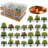 24 Velas de Cactus,Velas de Suculentas,Juego velas suculentas con caja