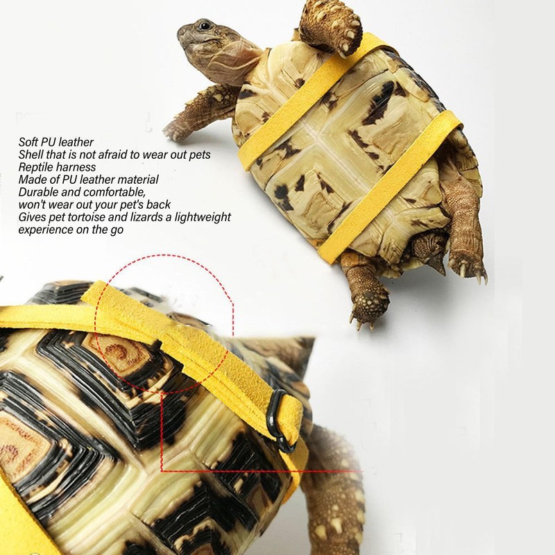 Tortoise Harness Strap, Adjustable Control Over The Head Lizard Body