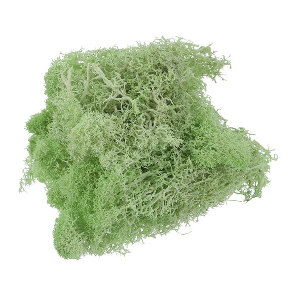 MECCANIXITY 0.35 OZ Moss Fake Craft Moss Artificial Moss Natural