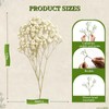 LAILAILE 100pcs Natural Dried Gypsophila Flowers– White Baby's Breath