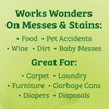 Biokleen Bac-Out Stain Remover for Clothes & Carpet - 128