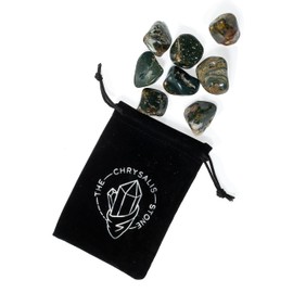 The Chrysalis Stone | Tumbled Stones | Orbicular Jasper | 1/2 LB | Bulk Crystals, Healing Stones, Spiritual Gifts for Women, Reiki, Chakra, Witchcraft, Yoga, Meditation Accessories