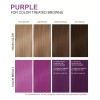 Shampoo Fijador De Color Para Cabello 230 Ml