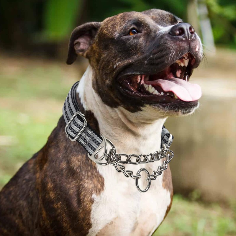 Martingale Collar with Steel Chain,Reflective Nylon Dog Collar with Soft