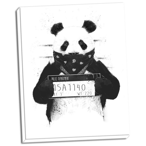 Bad Panda | Black And White Panda Bear Mugshot; One 11x14 Hand-Stretched Canvas