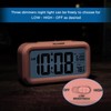 Peakeep Night Light Digital Alarm Clock with Indoor Temperature, Battery