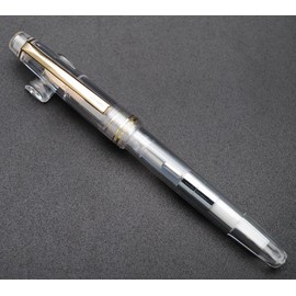 czxwyst 659 Double Nibs Fountain Pen (Transparent with Golden Clip)