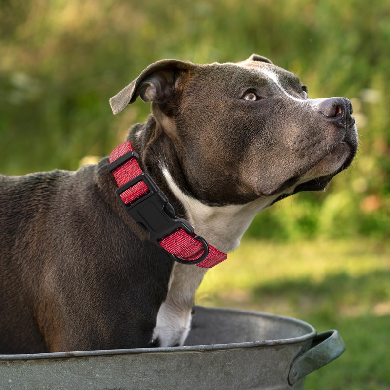 Mile High Life Dog Collar | Nylon Reflective Dog Collars