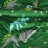 Adore Home Super Soft Fleece Dinosaur Blanket Kids Character Green