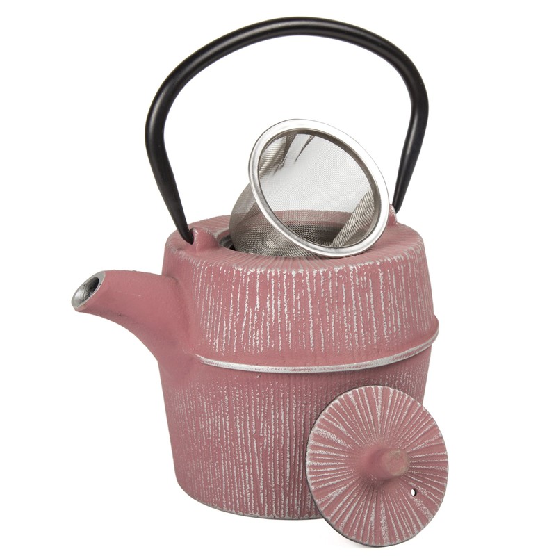 Creative Home Kyusu Cast Iron Pot Tea Kettle with Removable