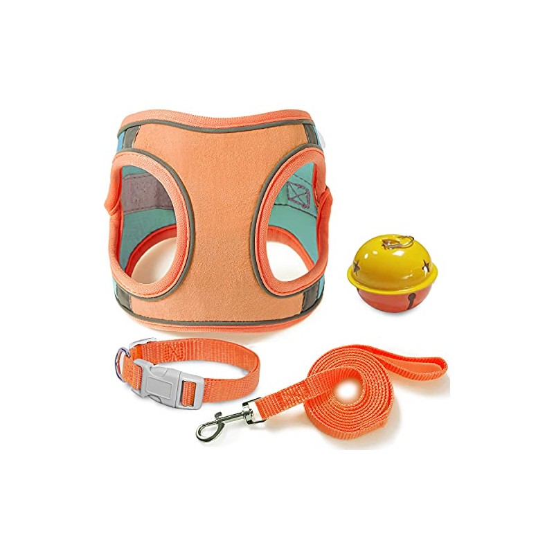 JSXD Juego de arnés para gato, correa y collar, arnés