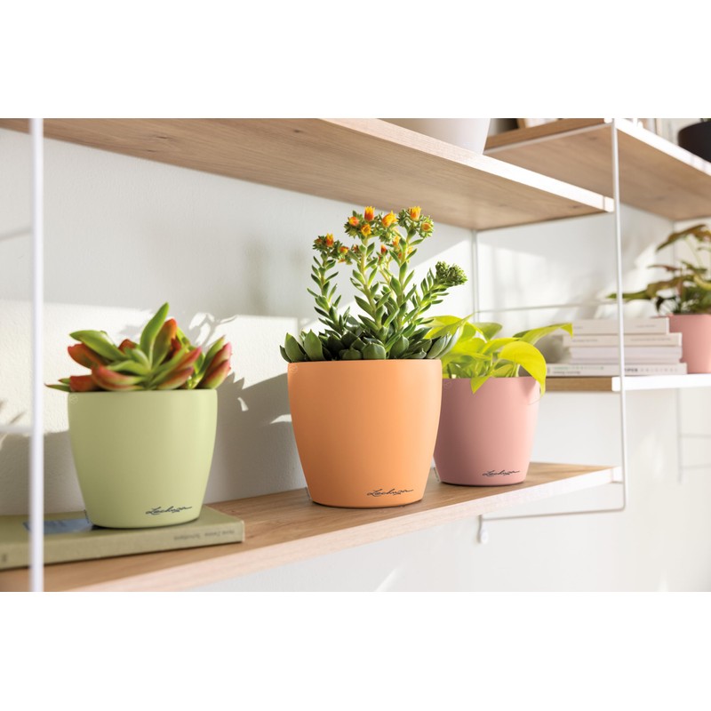 LECHUZA Classico Color 12 Deco Table Pot Slate Grey, Matte