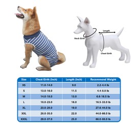 HCHYEY Dog Recovery Suit, Humanized Dog Surgery Recovery Suit for Female Male Dogs, Dog Onesie for Post Surgery - Anti Licking E-Collar Cone Alternative Bodysuit for Surgical Wound (Blue Stripe, XL)