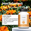 Phytochem Lutein 90 capsules, high dose with 50 mg natural