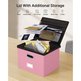 Oterri 1 Pack Large File Organizer Boxes with Lids, File Box with Mesh Pockets, Document Organizer Box for Legal/Letter Size Folders, Zippers Important Document Organizer (Pink, Without Folders)
