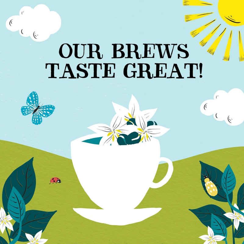 Clipper Organic Medium Roast Arabica Coffee | Instant Coffee |