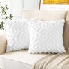 Artscope Pack of 2 Soft Plush Short Wool Velvet Decorative