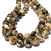ABCGEMS Zebra-Matrix King Troca Shell Beads from Pacific Ocean (Gorgeous