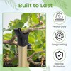 Kalinar Tree Crutch (1-Pack) - Durable Support for Fruit Tree