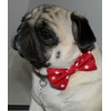 New Dog Bow Tie Stars Bowtie RED Cotton Elastic Band