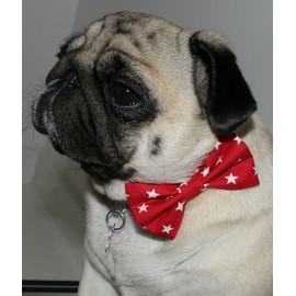 New Dog Bow Tie Stars Bowtie RED Cotton Elastic Band attach COLLAR ACCESSORY Handmade UK (Small RED stars)