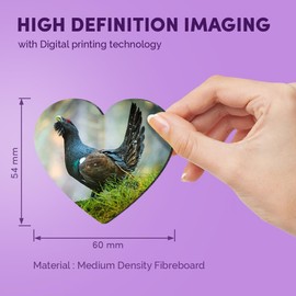 1x Heart MDF Magnet 6cm - Capercaillie Bird Wildlife Nature Forest - Fridge Locker Office Whiteboard Toolbox #50454