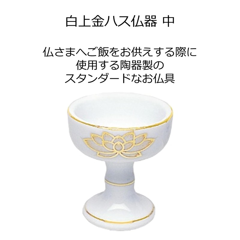 白上 Gold Lotus 中仏 Charger