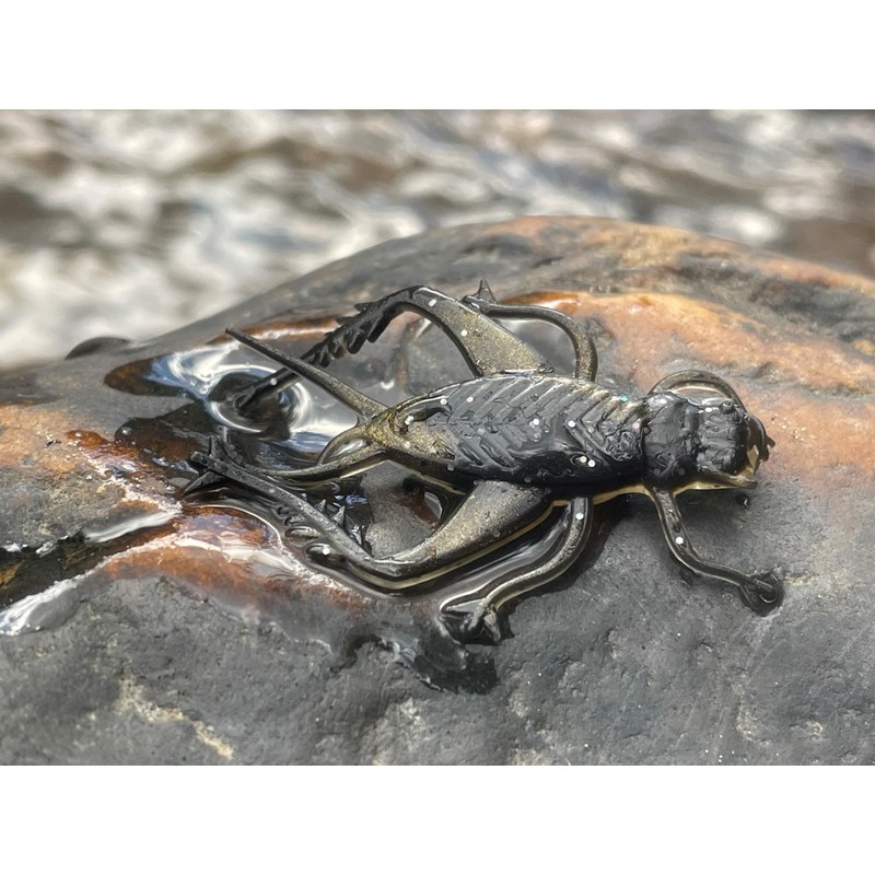 Rebel LIVEFLEX™ Hopper Soft Plastic - Summer Hopper - 1.75"