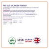 Equine America Pro Gut Balancer | Premium Ready To Use