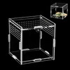 Reptile Feeding Box (10 cm x 10 cm x 10