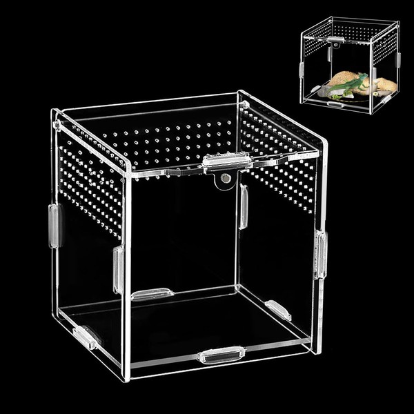 Reptile Feeding Box (10 cm x 10 cm x 10