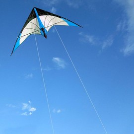 Upgrade Star Rhyme 48 Inch Dual Line Stunt Kite for Kids and Adults,Outdoor Sports,Beach and Fun Sport Kite,Handle,Line,and Bag Included