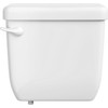 PROFLO PF5112WHM PROFLO PF5112M Jerrit Toilet Tank Only - Less