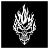 CAR Flame Skull Motorcycle Or Car Or Flat Surface Decal