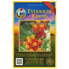 Everwilde Farms - 500 Blood Flower Wildflower Seeds - Gold Vault Jumbo Seed Packet