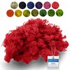 sphagnum-shop.com Real Decorative Moss Reindeer Moss in Red 500 g