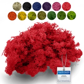 sphagnum-shop.com Real Decorative Moss Reindeer Moss in Red 500 g for Model Making Crafts Iceland Moss Preserved