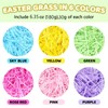 Easter Grass, Reusable Shredded Paper for Gift Box, Easter, 6